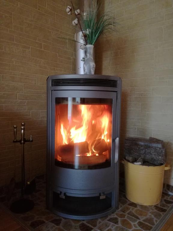 Cozy one room apartment with yard Juodkrantė Zewnętrze zdjęcie